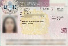 Consular Visa Approval #10