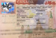 Consular Visa Approval #11