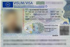 Consular Visa Approval #12