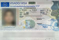 Consular Visa Approval #13