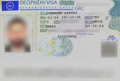 Consular Visa Approval #14