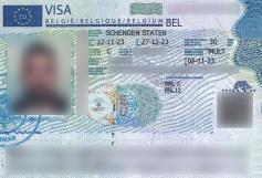 Consular Visa Approval #15