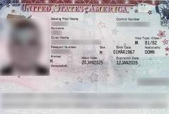 Consular Visa Approval #02