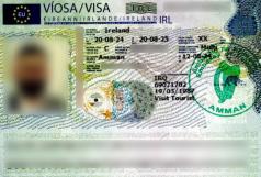 Consular Visa Approval #04