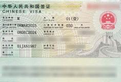 Consular Visa Approval #05
