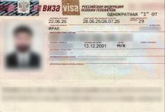 Consular Visa Approval #06