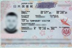 Consular Visa Approval #07