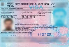Consular Visa Approval #08