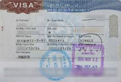 Consular Visa Approval #09